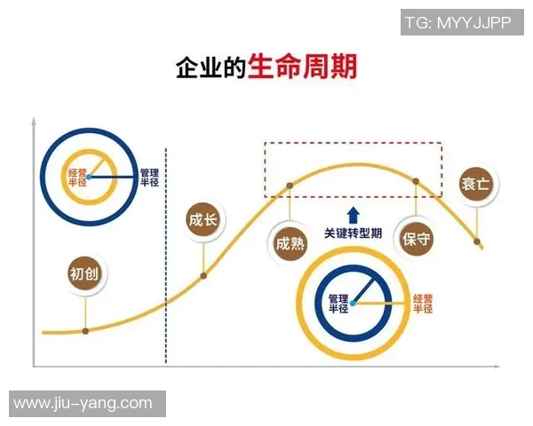 代怀博的成长之路与未来发展展望：从初创到行业领军的蜕变历程