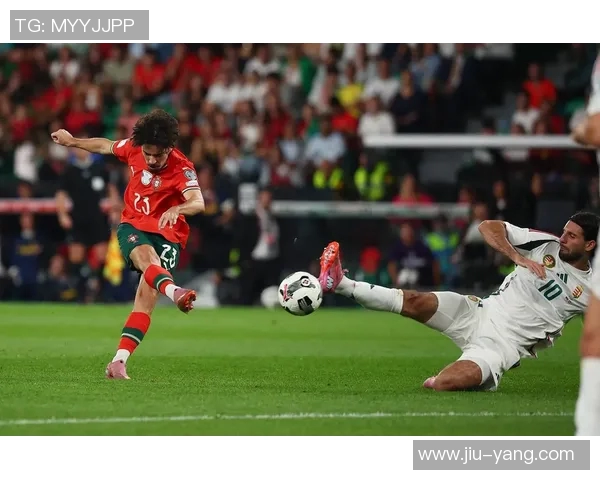 央视直播葡萄牙对阵匈牙利精彩赛事分析与赛后点评