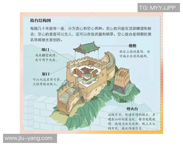 探索弗格的魅力与影响力：从历史到现代的全景视角