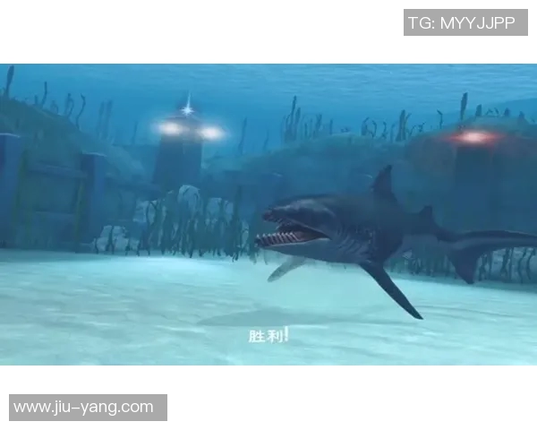 鹰部与南部鲨鱼的激烈对决谁能在赛场上笑傲群雄