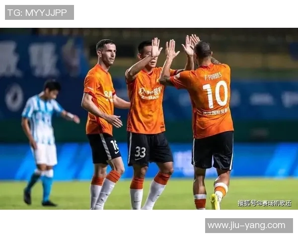 武汉羽毛球队防反战术解析与比赛表现深度剖析